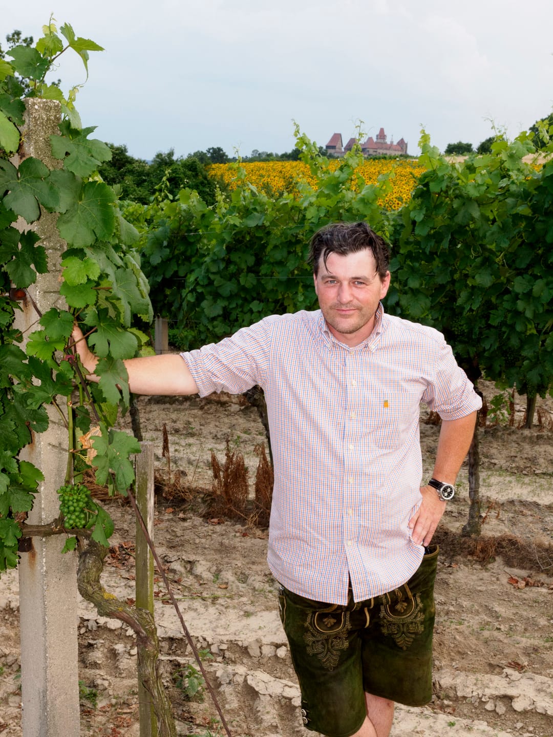 Franz Bauer in Lederhose an einem Weinstock im sommerlichen Weingarten